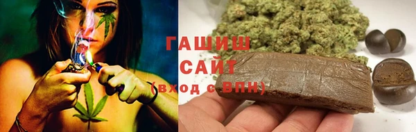 PSILOCYBIN Магас