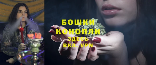 PSILOCYBIN Магас