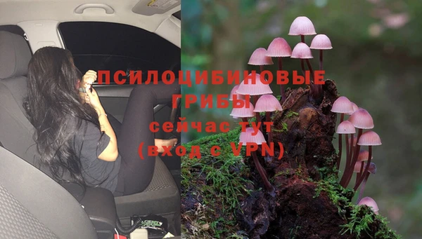 а пвп мука Майский