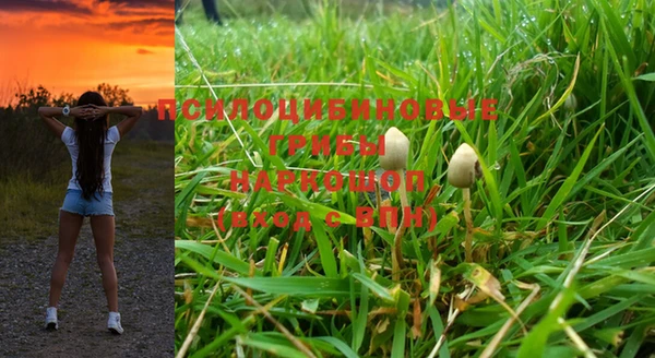 PSILOCYBIN Магас